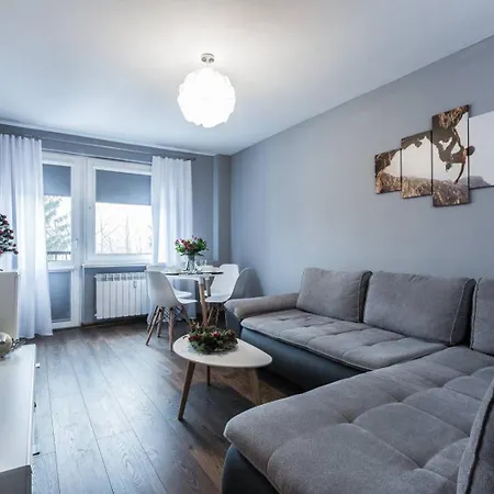 Apartament Swierkowy Potok, Odkryj-Zakopane-3